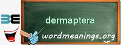 WordMeaning blackboard for dermaptera